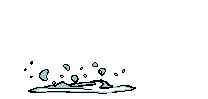 poisson
